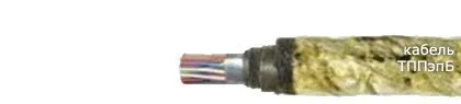Кабель ТППэпБ 5х2х0,5