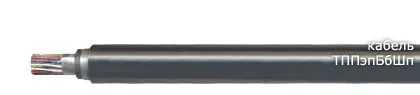 Кабель ТППэпБбШп 300х2х0,4-200