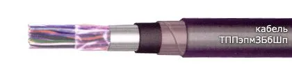 Кабель ТППэпмЗБбШп 200х2х0,5-200