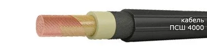 Кабель ПСШ 4000 120